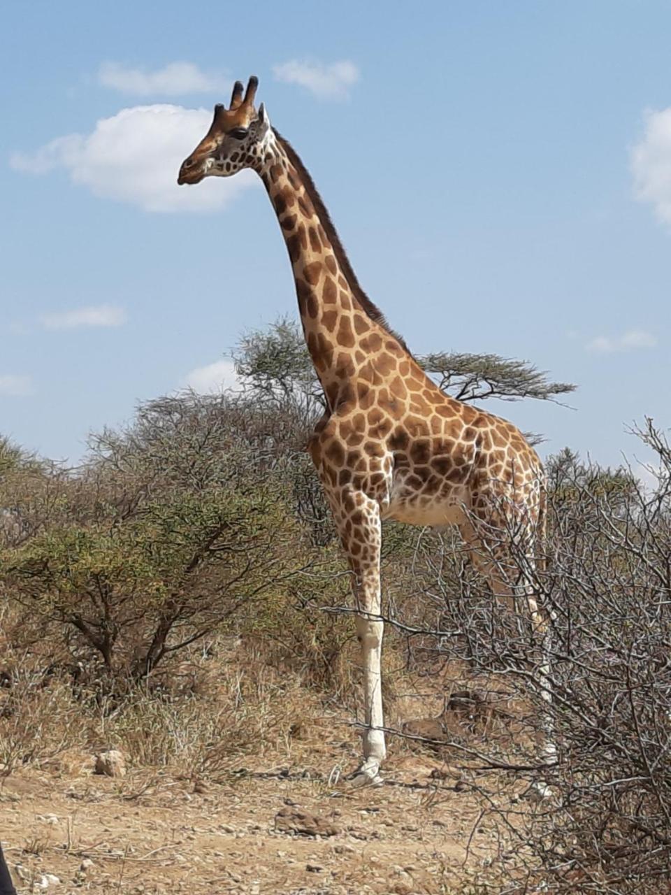 Sandai Resort Lake Baringo Ol Kokwe Экстерьер фото